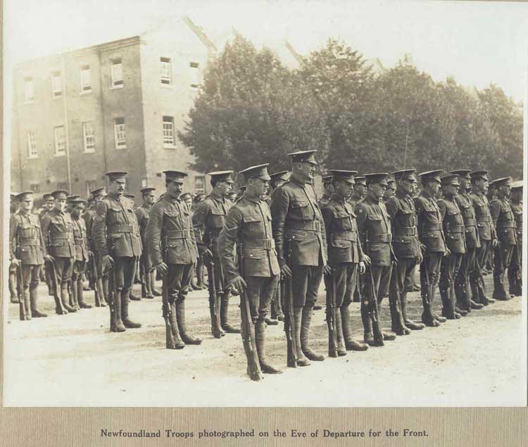 The Newfoundland troops - Les troupe Terre-Neuviennes