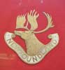 The Royal Newfoundland Regiment pin